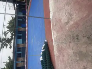 Green Rubber PVC Coated Chain Link Get the Best