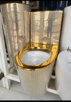 Executive Gold Miniset Wc Powerful Flush and Easy to Maintain