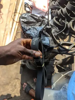 Toyota Camry Belt