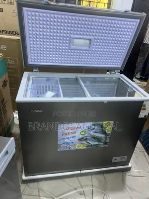 Snowsea Bd-308 220l Freezer With Durable Hinges