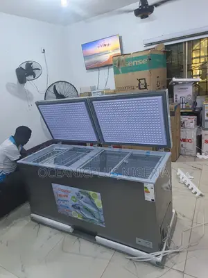 Bd-700 Chest Freezer by Snowsea 520 Liters