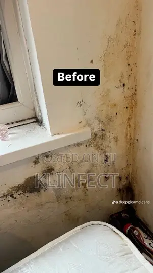 Professional and Perfect and Deep Cleaning