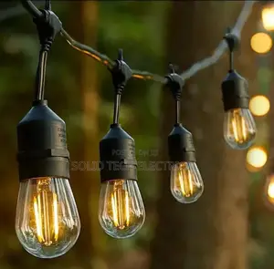 Outdoor Garden Night Light 10 Meters 20 Bulbs