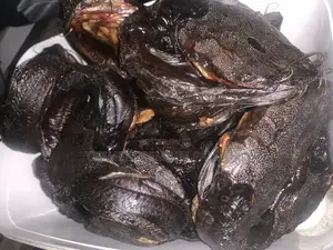 Dried Catfish