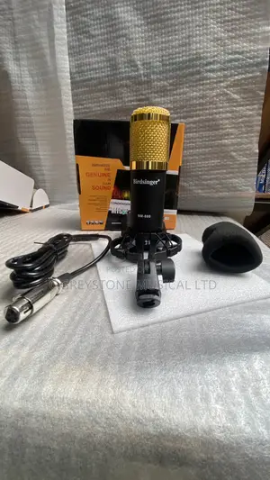 Studio Microphone Bm-800 Birdsinger