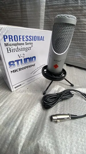 Condenser Recording Mic Birdsinger v-2