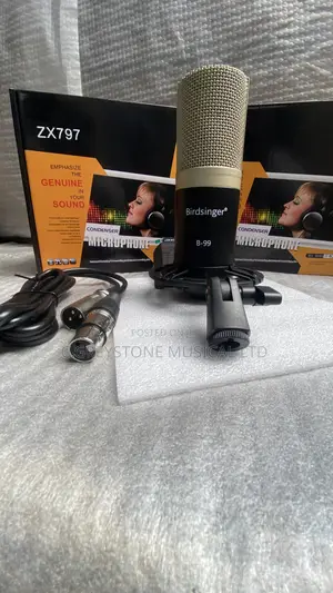 Condenser Studio Mic Birdsinger B-99