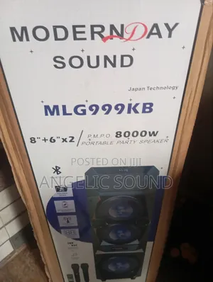 Modern Day Party Speaker Model No MLG 999