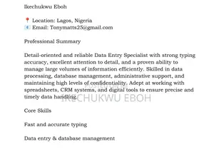 Data Entry Job