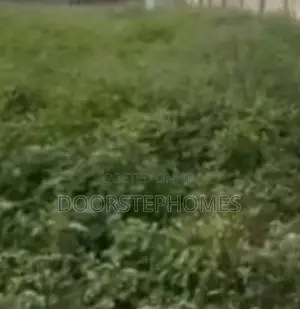 1300sqm Residential Land for Sale in Mabushi