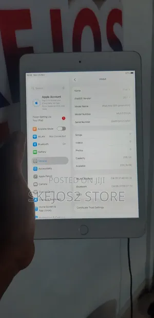 Apple iPad mini 5 256 GB Silver