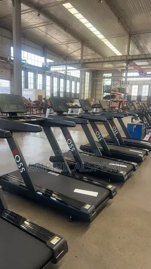 Heavy Duty 10 Hp Boss Treadmill