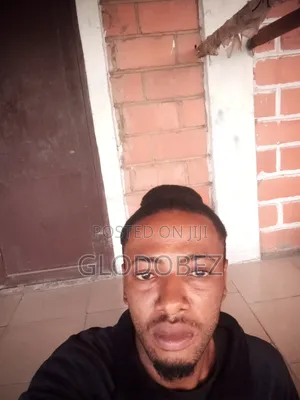 Mr. Daniel Ibe