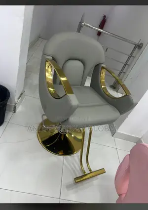 Brand New Imported Salon Chair