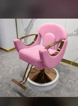 Brand New Imported Salon Chair