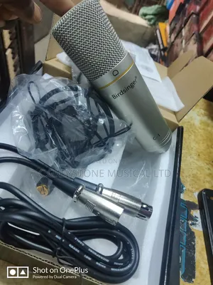 Studio Condenser Miv C-1 Birdsinger