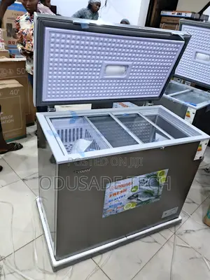 Snowsea 200l Chest Freezer Bd-308 for Home Business