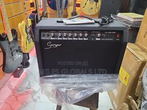 Smiger Tg-40r-Mic Lead Guitar Combo Amplifier