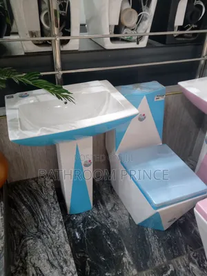 Executive White and Blue Surface Water Closet