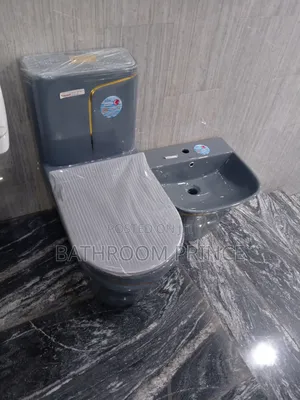 Grey With Strip Gold Water Closet With Wallhung Basin