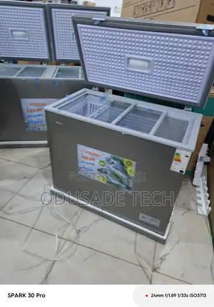 Snowsea 200l Bd-308 Chest Freezer for Restaurants/Stores
