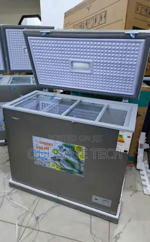 Snowsea Bd-308 200l Deep Freezer With Smooth Operation