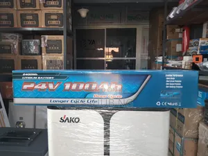 LGP 2.4kwh 24v Lithium Battery
