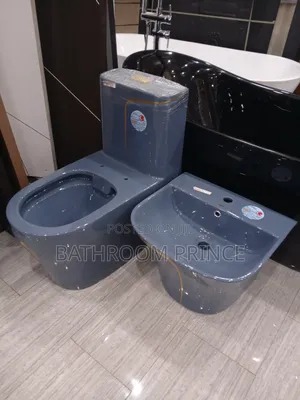 Unique Coloured Water Closet With Wallhung Basin