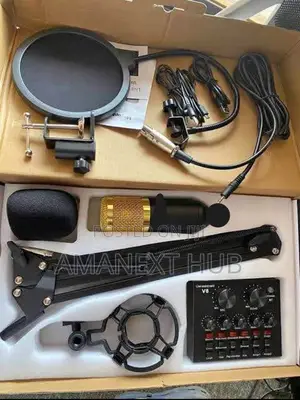 Professional Condensed Microphone With Sound Card