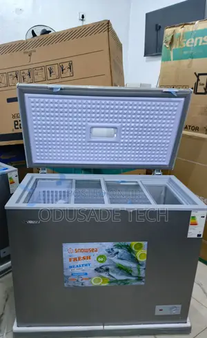 Snowsea Bd-308 200l Freezer With Quiet Operation