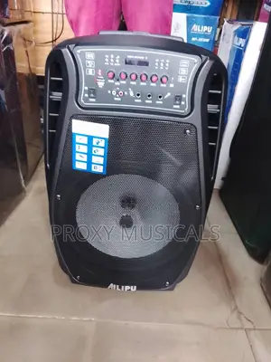 Ailipu Pa System 15” With 2 Microphones