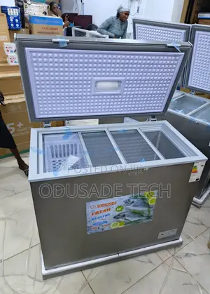 Snowsea 200l Cold Freezer Bd-308