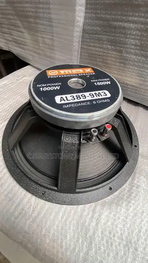 Naked Speaker Inches Omax