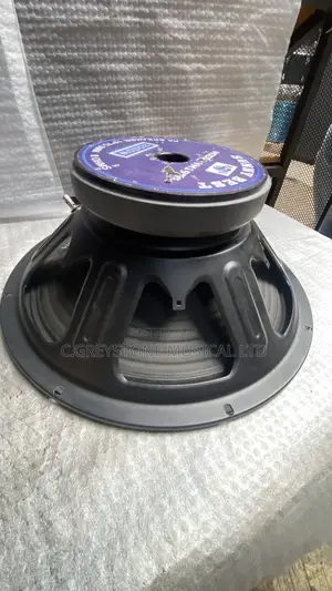 15 Inches Naked Speaker Iron Body