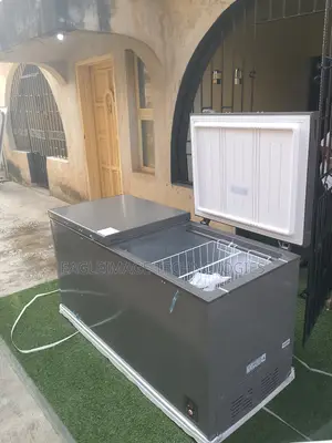 Brand New Hisense Double Door 500l – Fish Sellers Una Don Win
