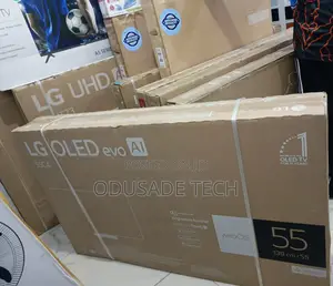 Lg Oled Evo 55c4 – Top-Tier 55-Inch Smart Tv