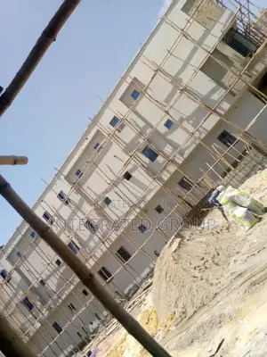 Professional Wall Screeding