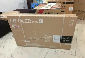 Lg 55-Inch Evo Oled – C4 Series Smart Tv