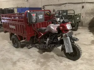 New Tricycle 2024 Green