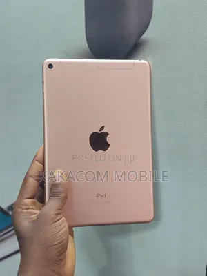 Apple iPad mini 5 64 GB Pink