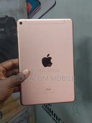 Apple iPad mini 5 64 GB Pink