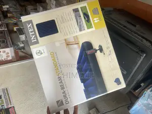 Intex Dura-Beam Standard Classic Downy Air Mattress With 2 Pillows