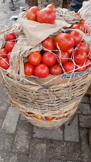 Fresh Tomato Big Basket and Pepper Big Bag