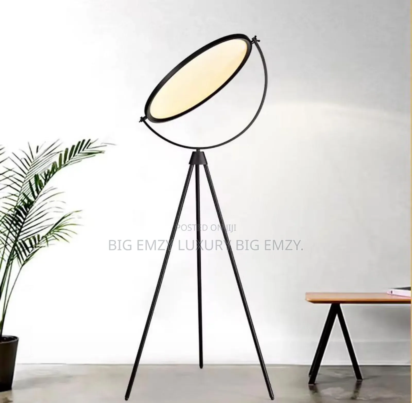 Tripod Floor Lamp.