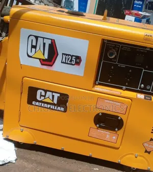 Original Cat Generator Diesel 12.5 Kva 100 Copper Coin