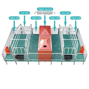 Double Position Pig Farrowing Cage