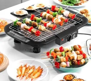 Electric Barbecue Grill