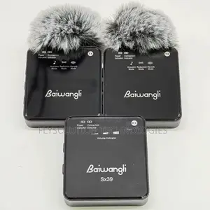 Baiwangli Wireless Mic (Sx39)