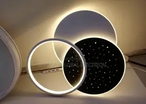 Designer Ceiling Flosh Light