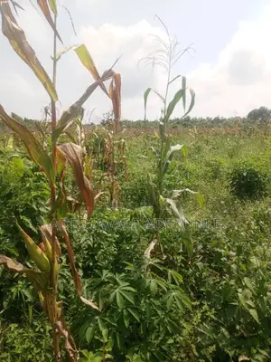 Land for Sale in Atan Ota